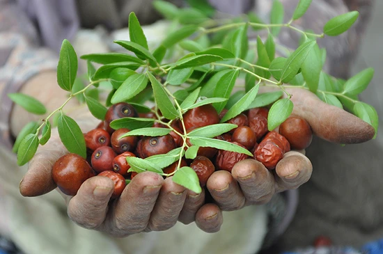 Hünnaplı lokum yaptı belediyeden destek aldı